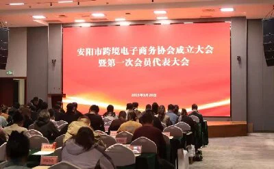 Anyang Cross - Border E - Commerce Association Oficiálne spustené